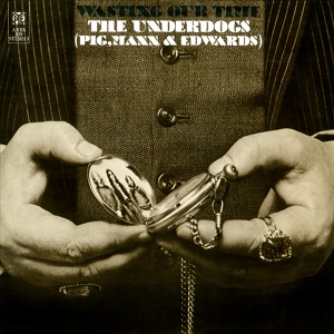 Обложка для The Underdogs - Old Grey Dog