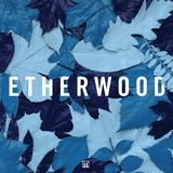 Обложка для Etherwood - Sunlight Splinters