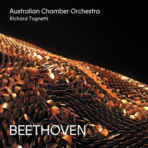 Обложка для Australian Chamber Orchestra, Richard Tognetti - Symphony No. 5 in C Minor, Op. 67: 4. Allegro