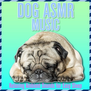 Обложка для Relax My Dog, Dog Music Dreams - Healthy Spirit