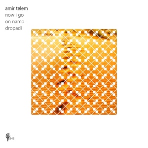 Обложка для Amir Telem - Dropadi