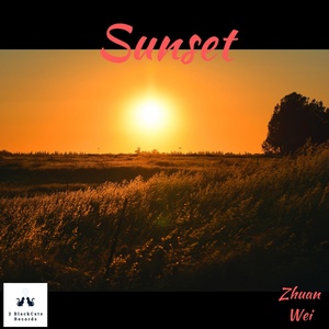 Обложка для Zhuan Wei - Perfect Sunset