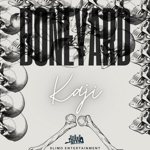 Обложка для Kaji - Boneyard