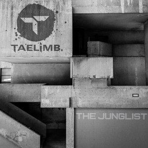 Обложка для Taelimb - Kat Scam
