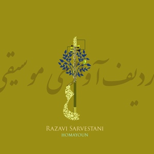 Обложка для Razavi Sarvestani - Raaz & Niyaz