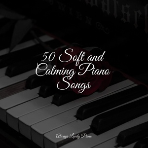 Обложка для Calm shores, Música Relajante Piano Master, Klassisk Musik Orkester - Dappled Sunlight