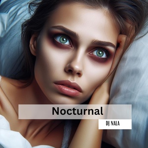 Обложка для DJ Nala - Nocturnal