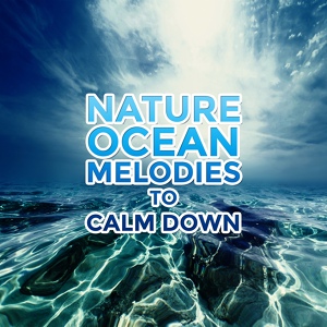 Обложка для Nature Sound Collection - Mental Focus, Thunderstorm with Rain