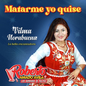 Обложка для Roberto Amado Avila y Los Bandidos de Palpas, Vilma Norabuena - Madrecita
