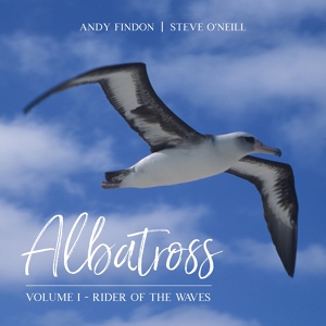 Обложка для Andy Findon, Steve O'Neill - A Flight Above