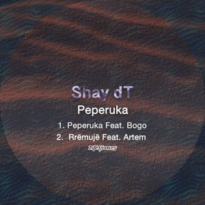 Обложка для Shay dT feat. Bogo - Peperuka