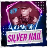 Обложка для Silver Nail - It's My Life ↪ vk.com/retroremixes