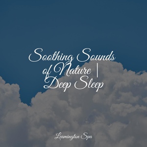 Обложка для Nature Ambience, Amazing Spa Music, Zona Música Relaxante - Music for Deep Sleep