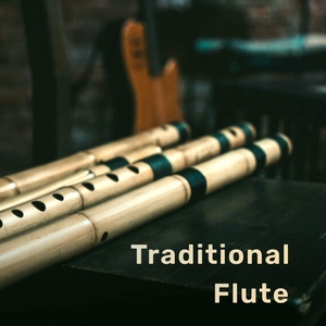 Обложка для Vikash Yadav - Traditional Flute