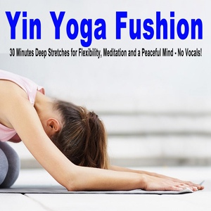 Обложка для Yin Yoga Fushion - Om Purnam