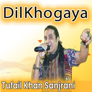 Обложка для Tufail Khan Sanjrani - Dil Kho Gaya