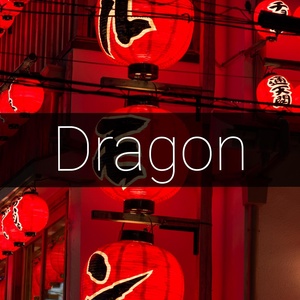 Обложка для EVO - Dragon