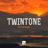 Обложка для Twintone - The Key Within