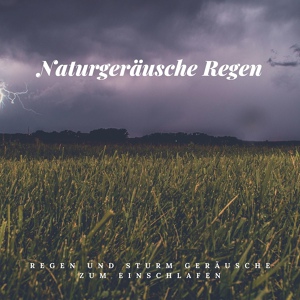 Обложка для Naturgeräusche Regen - 432 Hz Entspannung