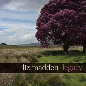 Обложка для Liz Madden, Fionán de Barra feat. Joanie Madden - Boulder to Birmingham (feat. Joanie Madden)