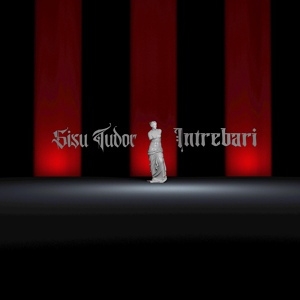 Обложка для Sisu Tudor - Intrebari