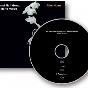 Обложка для Michael Neff Group - Before Sunset