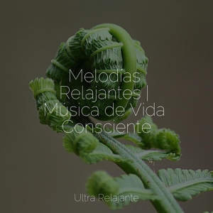 Обложка для Música ambiental relajante, Música a Relajarse, Meditação Clube - Éxtasis