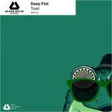 Обложка для Deep Flat - Toad