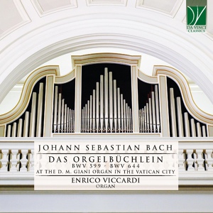 Обложка для Enrico Viccardi - Helft mir Gottes Güte preisen in B Minor, BWV 613