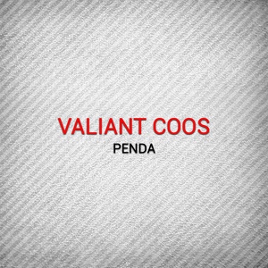 Обложка для Valiant Coos - Penda