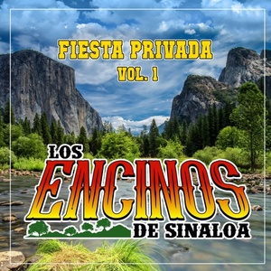 Обложка для Los Encinos De Sinaloa - La Pava