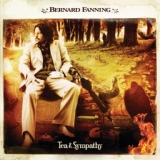 Обложка для Bernard Fanning - Wish You Well