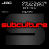 Обложка для John O' Callaghan Feat Cathy Burton - Perfection (Shogun Remix)