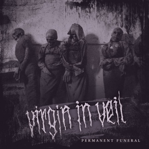 Обложка для Virgin in Veil - Self-Destruction