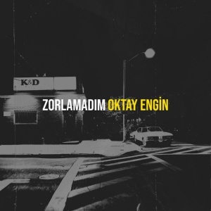 Обложка для Oktay Engin - Zorlamadım