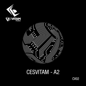 Обложка для Cesvitam - A2