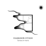 Обложка для Harrison Storm - The Words You Say