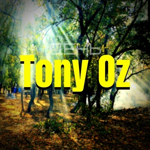 Обложка для Tony Oz - День