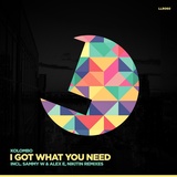 Обложка для Kolombo - I Got What You Need (Nikitin Remix)