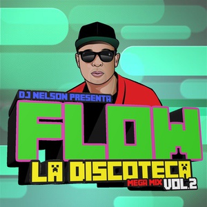 Обложка для DJ Nelson - Flow la Discoteca Mega Mix, Vol.2