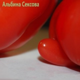 Обложка для Альбина Сексова - Саша пидораст