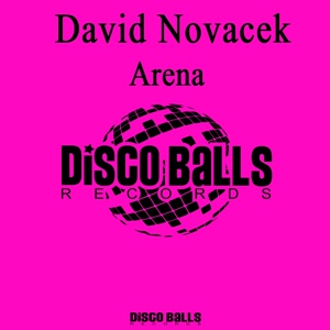 Обложка для David Novacek - Arena