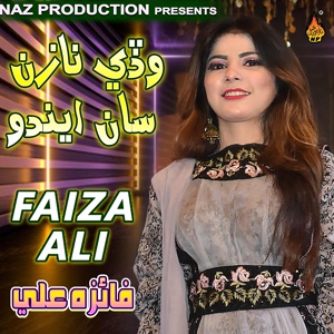 Обложка для Faiza Ali - Nasi Wagah