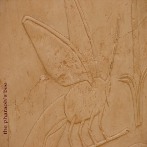 Обложка для Allen Ravenstine - Bug's Ear