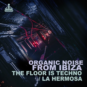 Обложка для Organic Noise From Ibiza - The Floor Is Techno