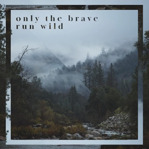 Обложка для Sounds Like Sander - Only the Brave Run Wild