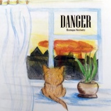 Обложка для Валера Nemetz - Danger