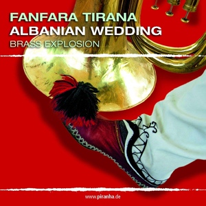 Обложка для Fanfara Tirana - napolono
