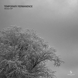 Обложка для Temporary Permanence - Damga