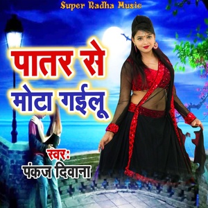 Обложка для Pankaj Diwana - Patar Se Mota Gailu